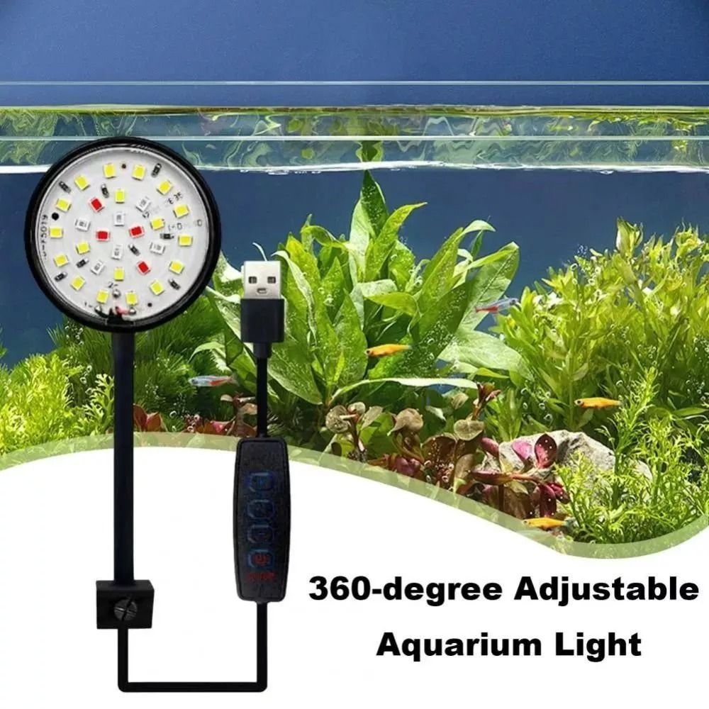 New Mini Fish Tank Clip Lamp 5 - Aquarium Plant Live avis et prix