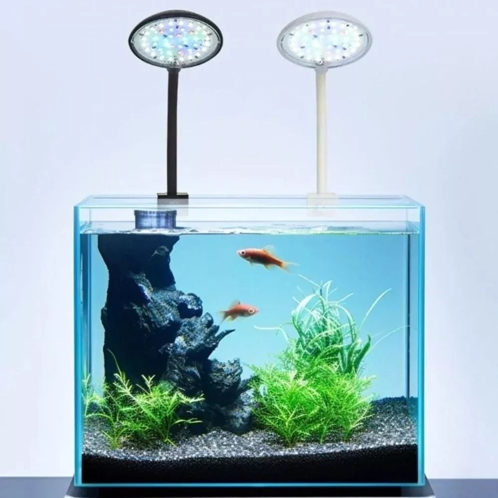 New Mini Fish Tank Clip Lamp 5 - Aquarium Plant Live avis et prix