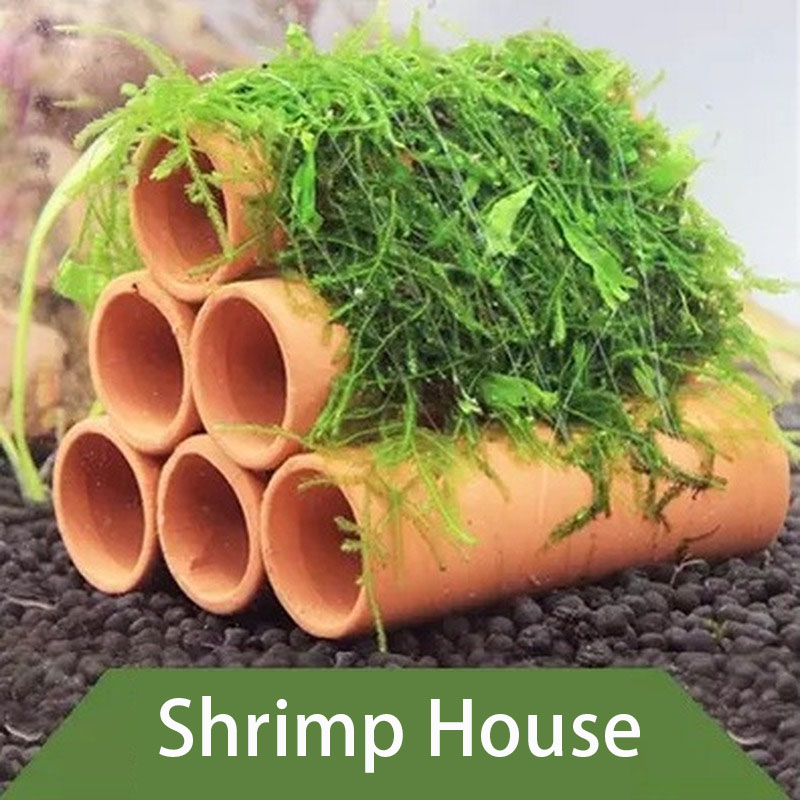 Clay Aquarium Decoration Fish  - Aquarium Plant Live avis et prix