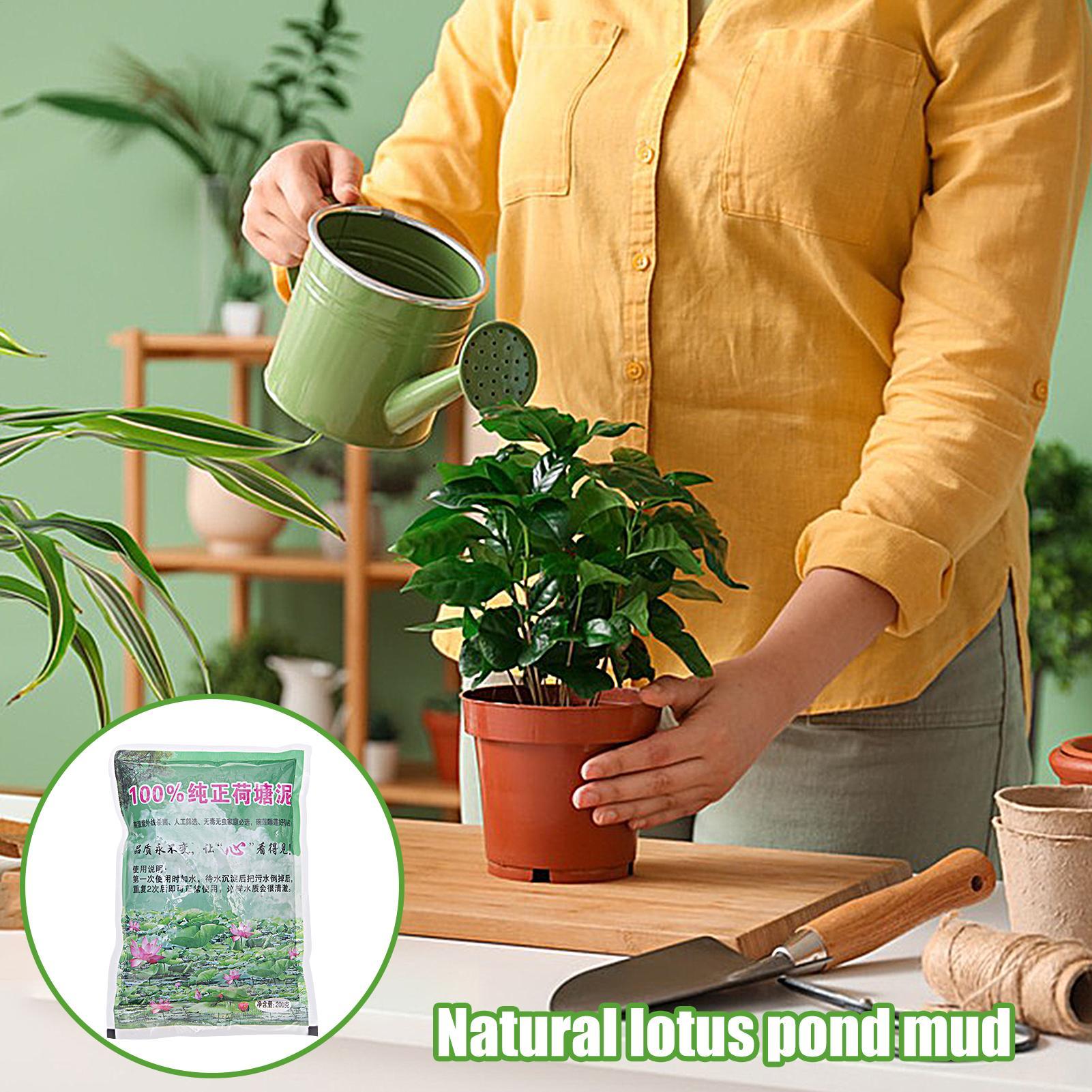 200g/bag Aquarium Soil Natural - Aquarium Plant Seeds avis et prix