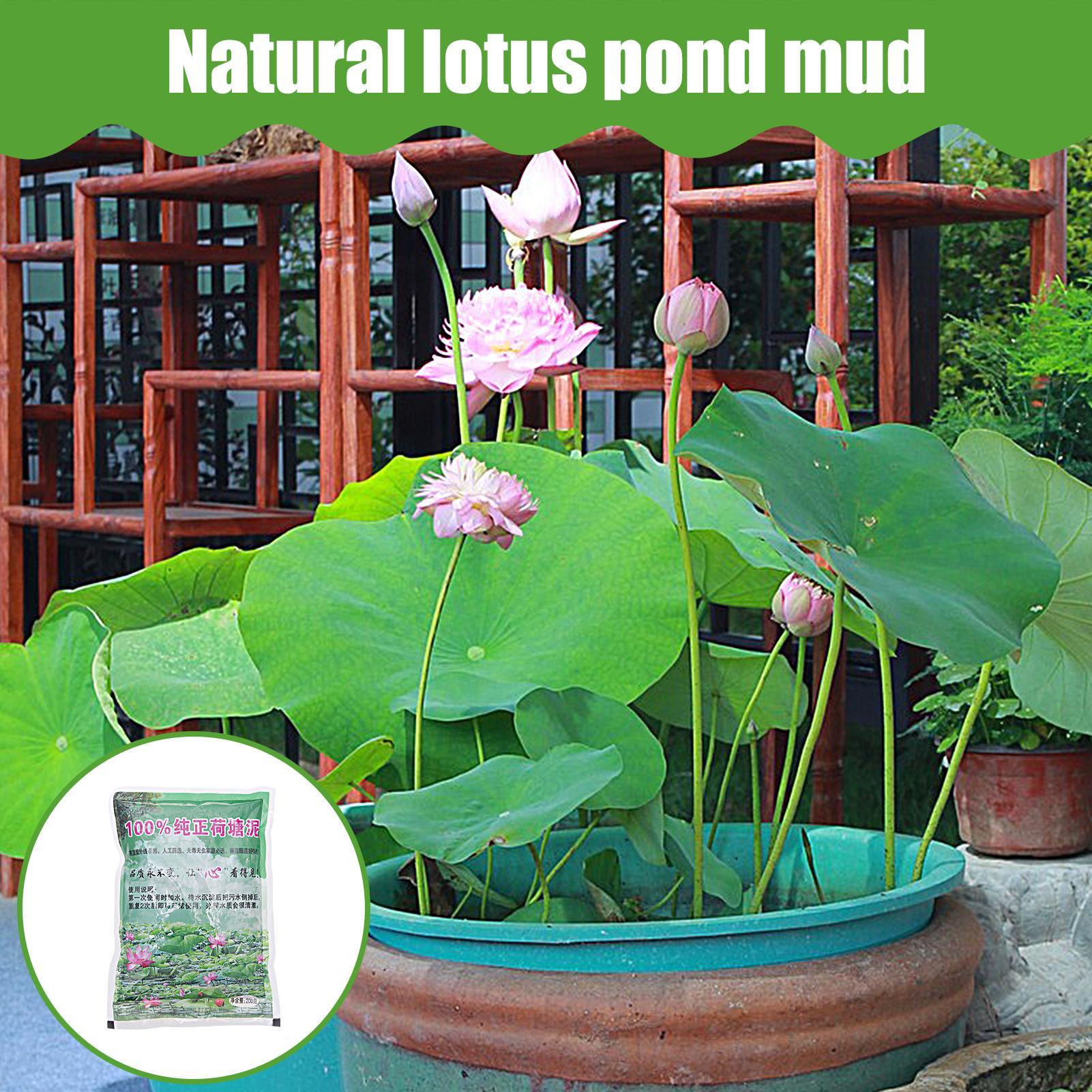 200g/bag Aquarium Soil Natural - Aquarium Plant Seeds avis et prix