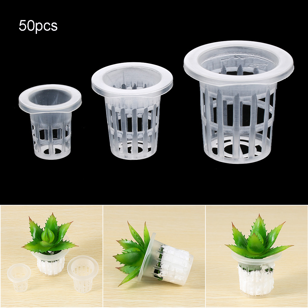 10/50pcs Garden Supplies Aquar - Aquarium Plant Seeds avis et prix
