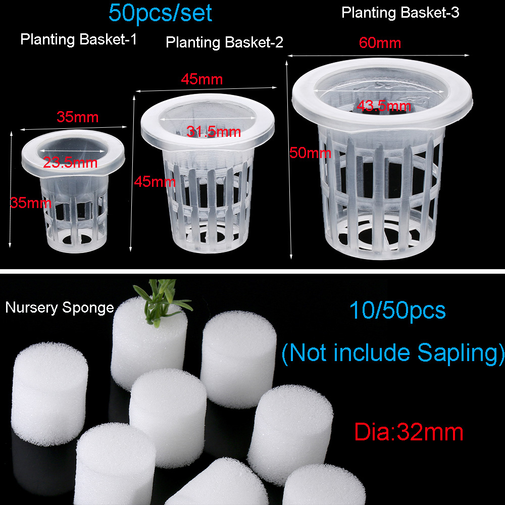 10/50pcs Garden Supplies Aquar - Aquarium Plant Seeds avis et prix