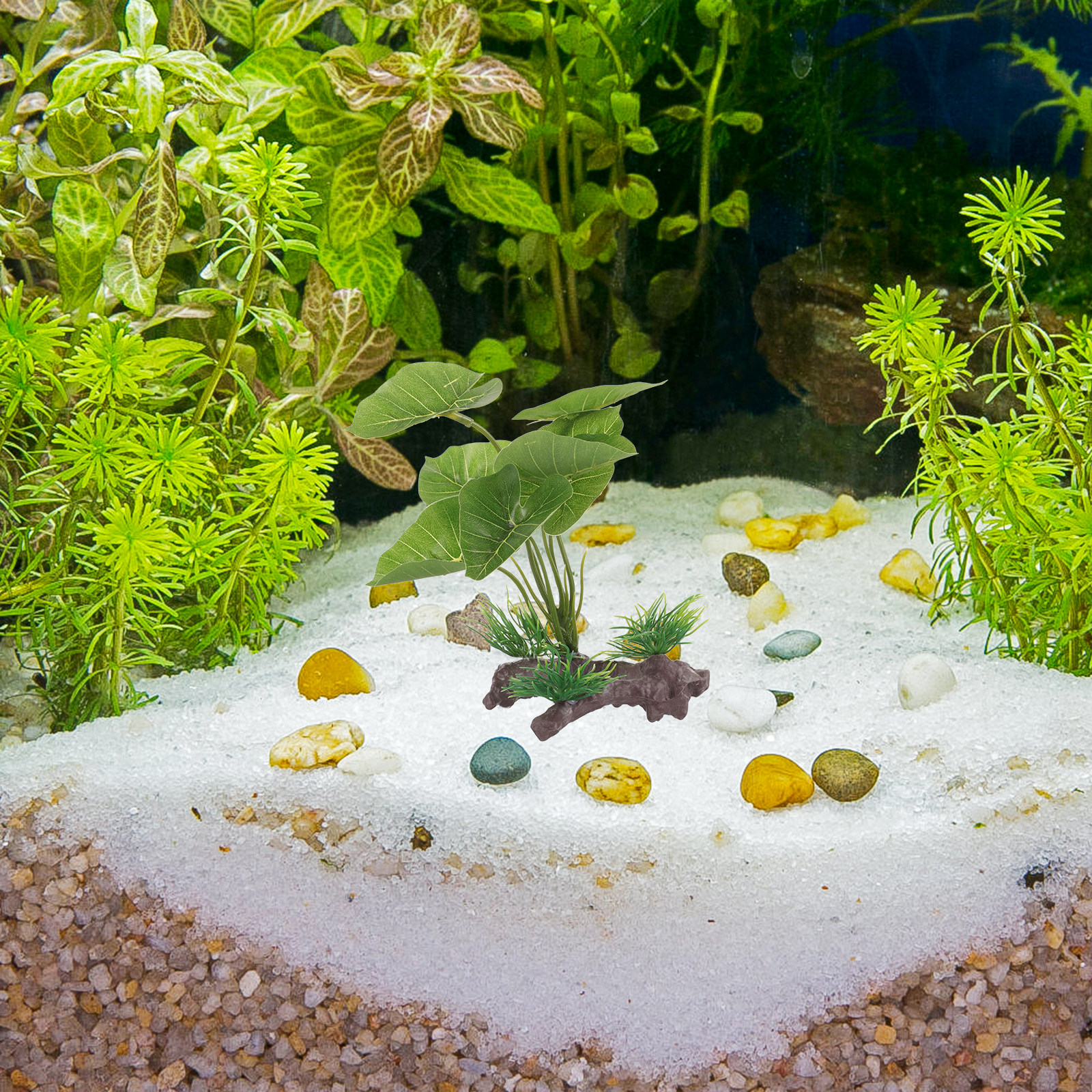 Premium Plastic Artificial Aqu - Planted Aquarium Betta avis et prix