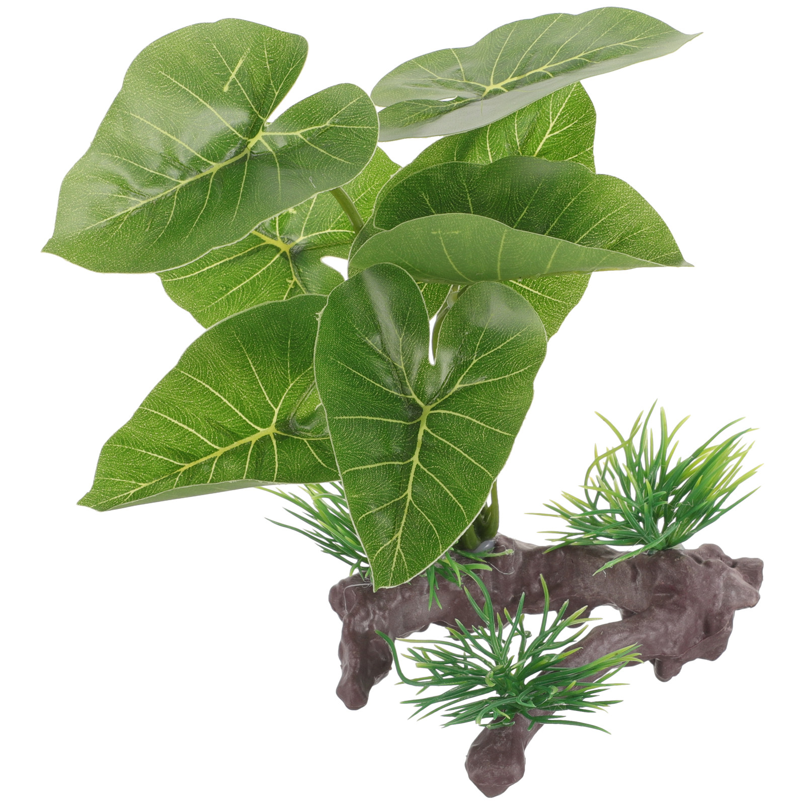 Premium Plastic Artificial Aqu - Planted Aquarium Betta avis et prix