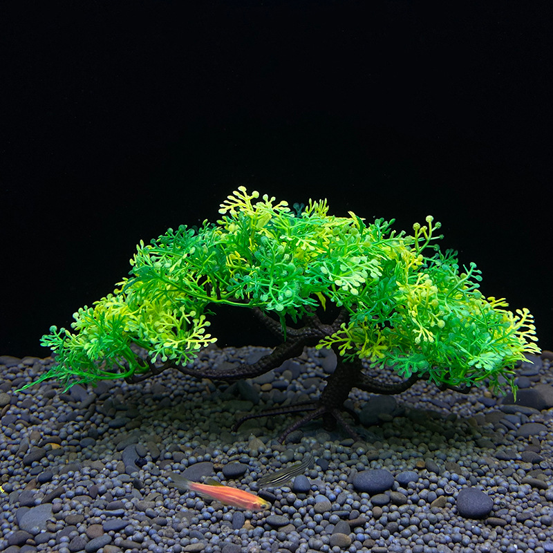 Aquarium bonsai tree, plant, f - Aquarium Plant Seeds avis et prix