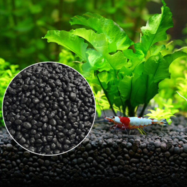 Aquarium Plant Seeds Soil Fish - Aquarium Plant Seeds avis et prix
