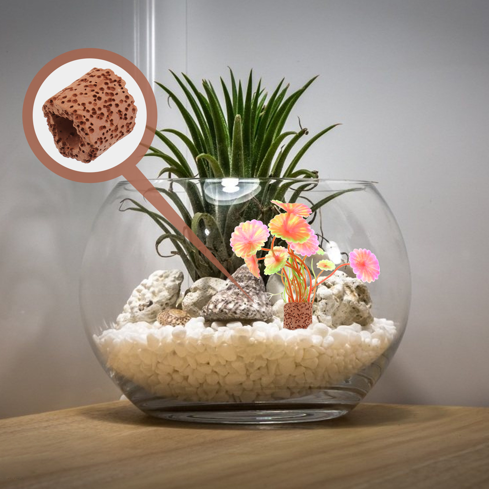 10Pcs Water Plant Fixed Ring H - Aquarium Planting avis et prix
