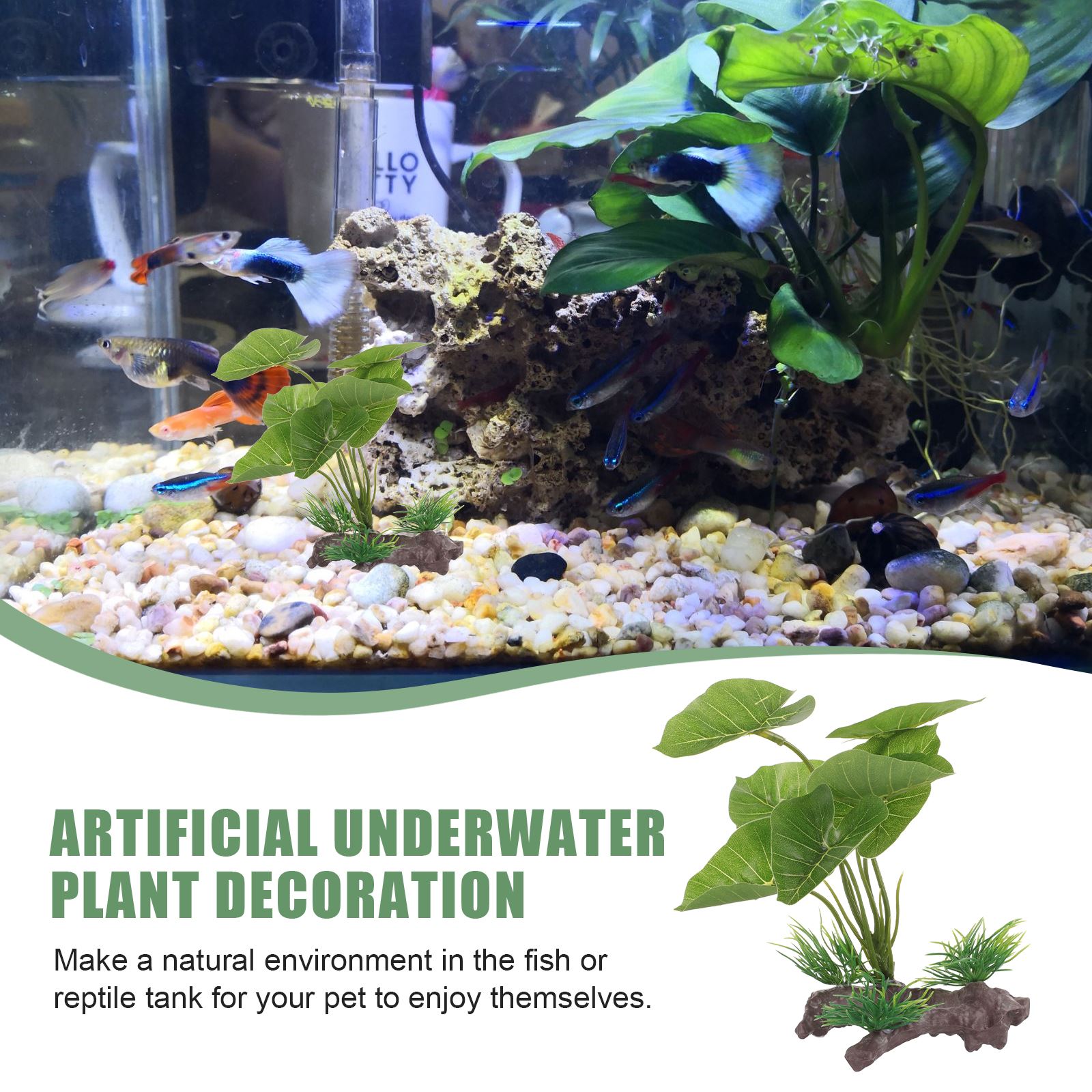 Artificial Underwater Plant Aq - Aquarium Plant Seeds avis et prix