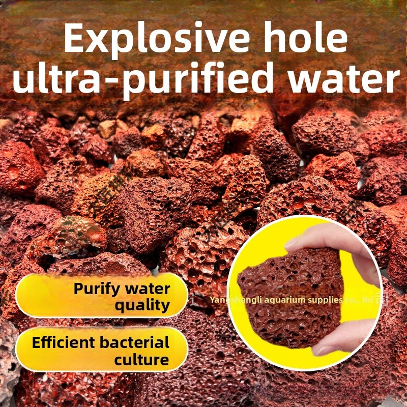 Natural Porous Red Lava Rock A - Aquarium Planted Tank Soil avis et prix
