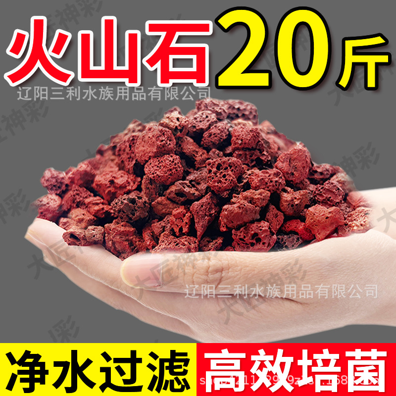 Natural Porous Red Lava Rock A - Aquarium Planted Tank Soil avis et prix