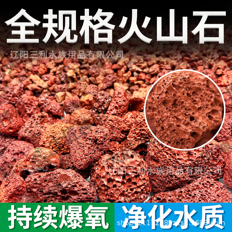 Natural Porous Red Lava Rock A - Aquarium Planted Tank Soil avis et prix