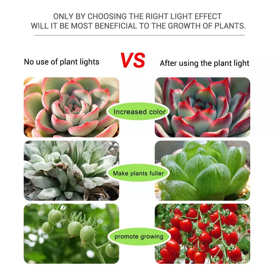 Full Spectrum 5V USB Plant Tap - Planted Aquarium Hours avis et prix