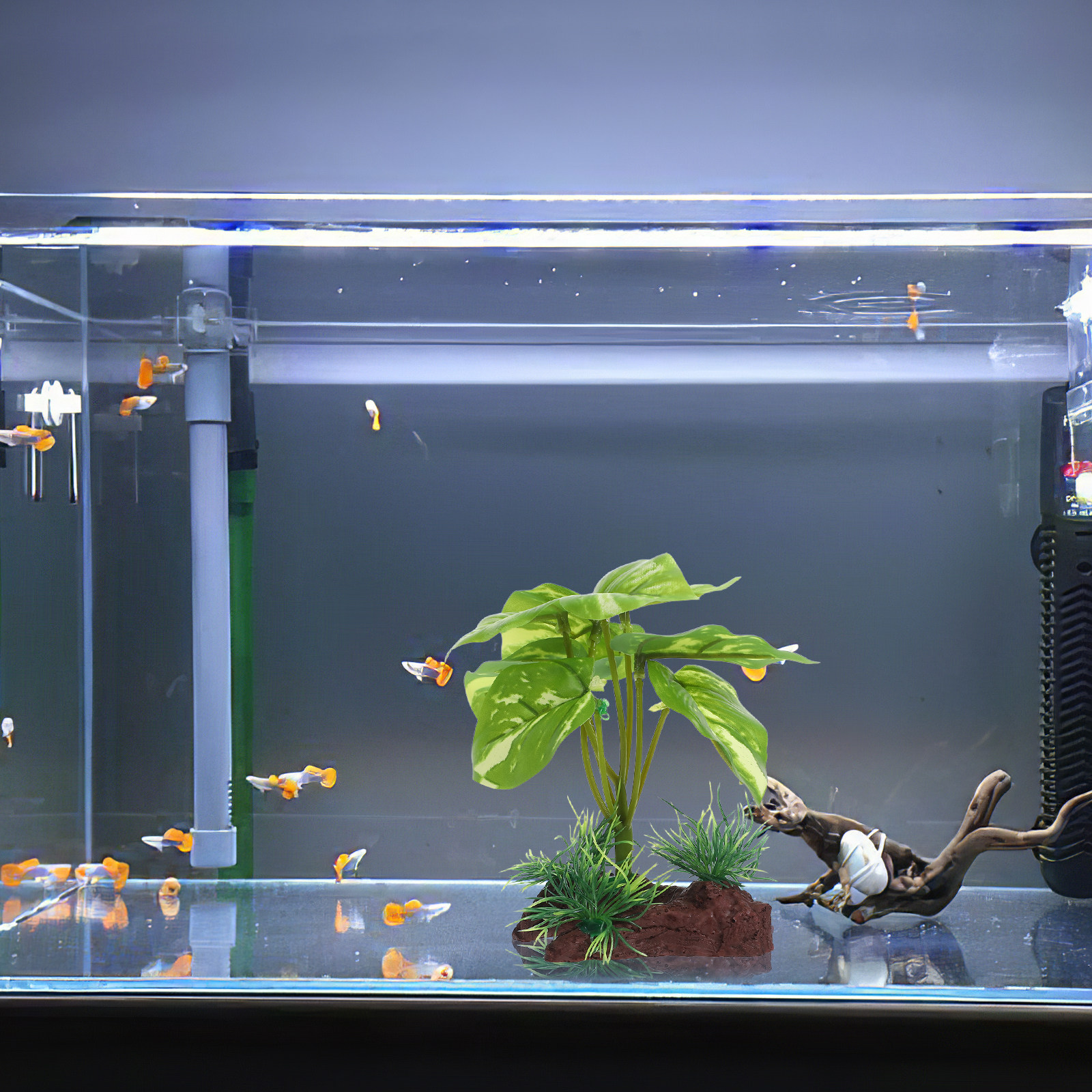 Premium Artificial Aquarium Pl - Aquarium Planted Tank Setup avis et prix