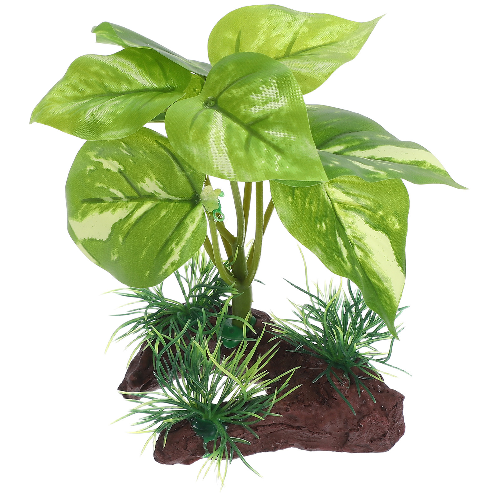 Premium Artificial Aquarium Pl - Aquarium Planted Tank Setup avis et prix