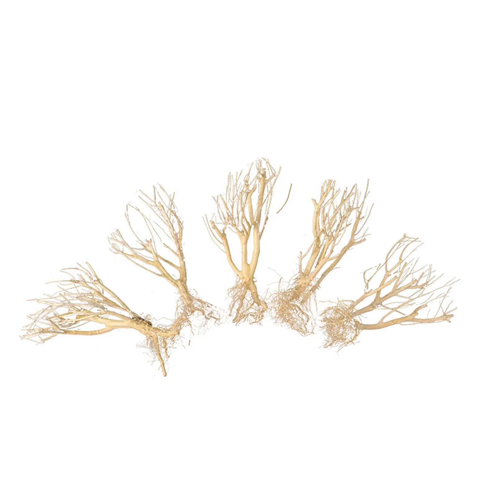 New DIY Driftwood Aquarium Mos - Aquarium Plant On Wood avis et prix