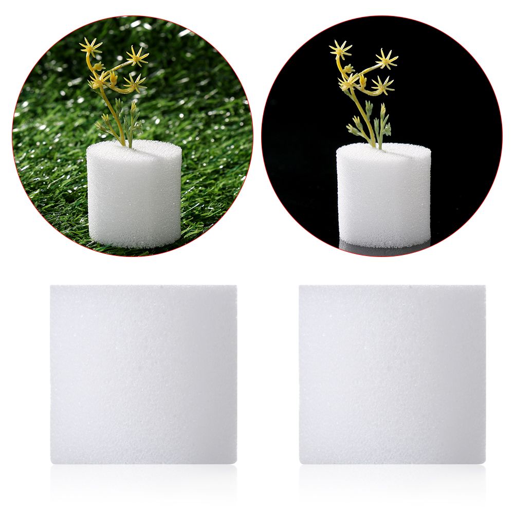 10/50pcs Durable Garden Suppli - Aquarium Plant Seeds avis et prix