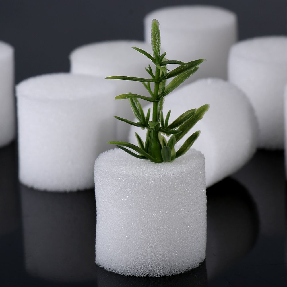 10/50pcs Durable Garden Suppli - Aquarium Plant Seeds avis et prix