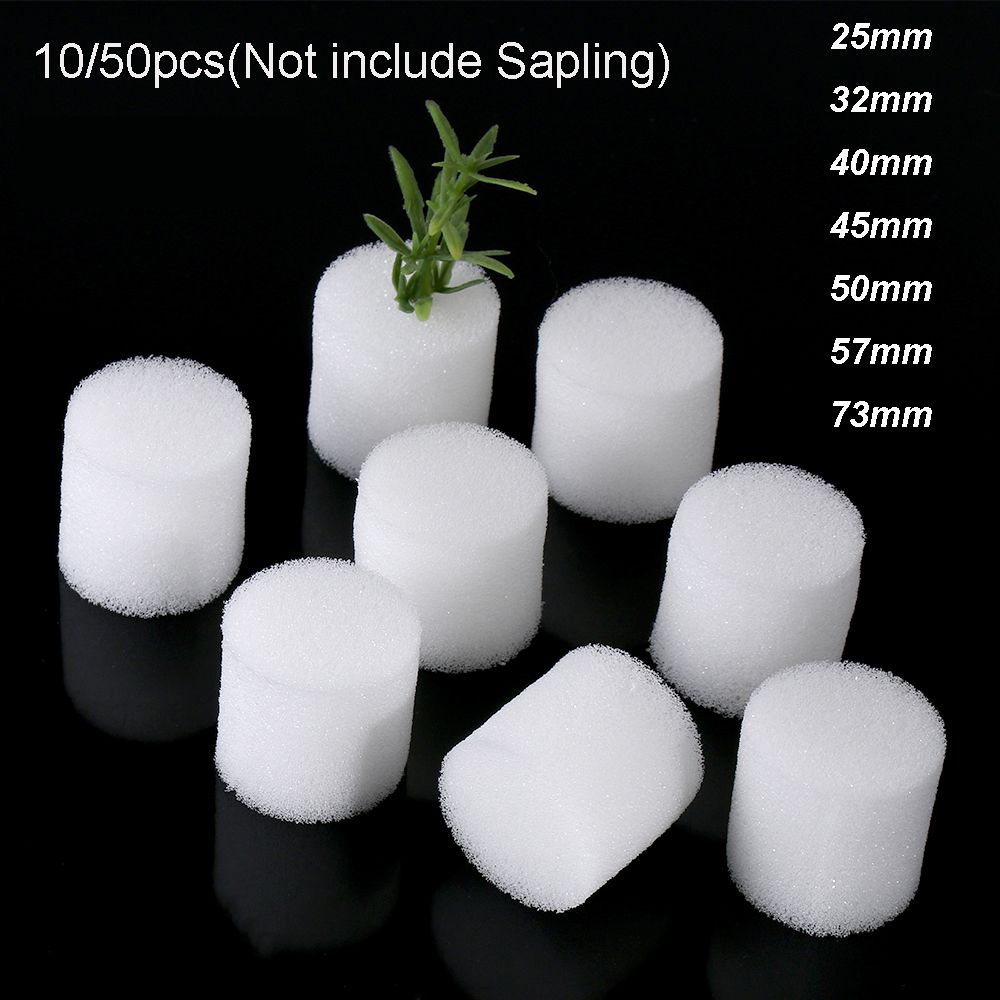 10/50pcs Durable Garden Suppli - Aquarium Plant Seeds avis et prix