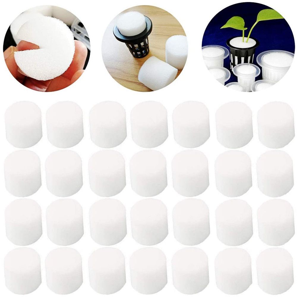10/50pcs Durable Garden Suppli - Aquarium Plant Seeds avis et prix