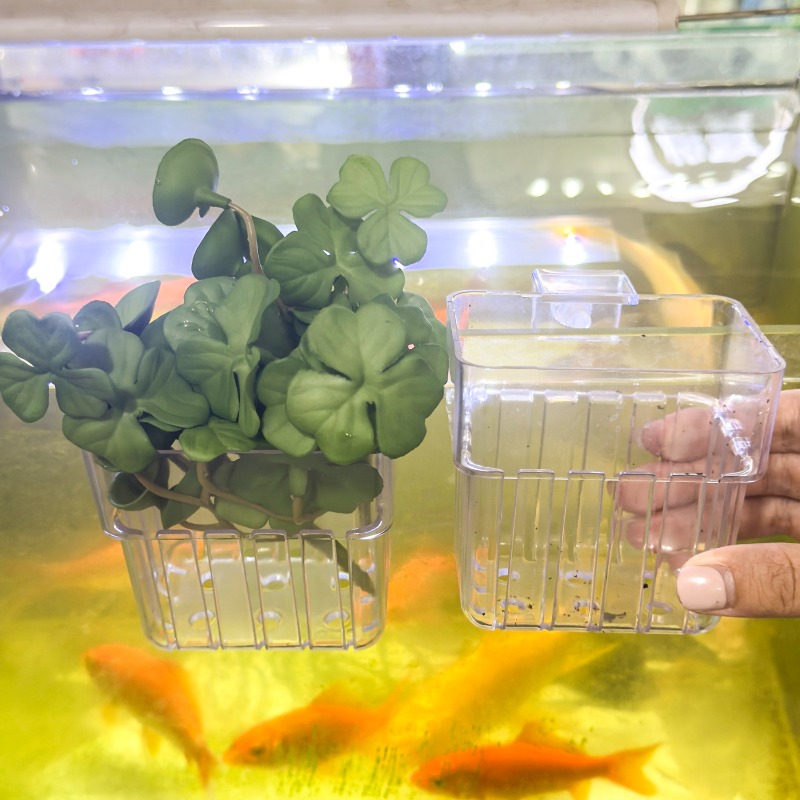 1/5pcs Aquarium Decoration Pla - Aquarium Planting avis et prix