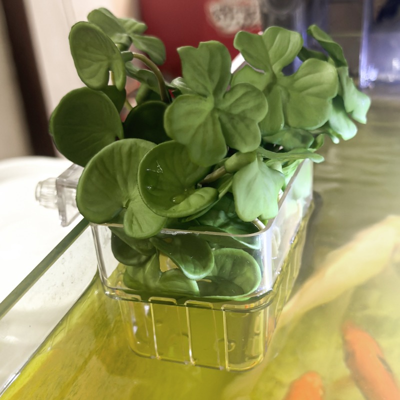 1/5pcs Aquarium Decoration Pla - Aquarium Planting avis et prix