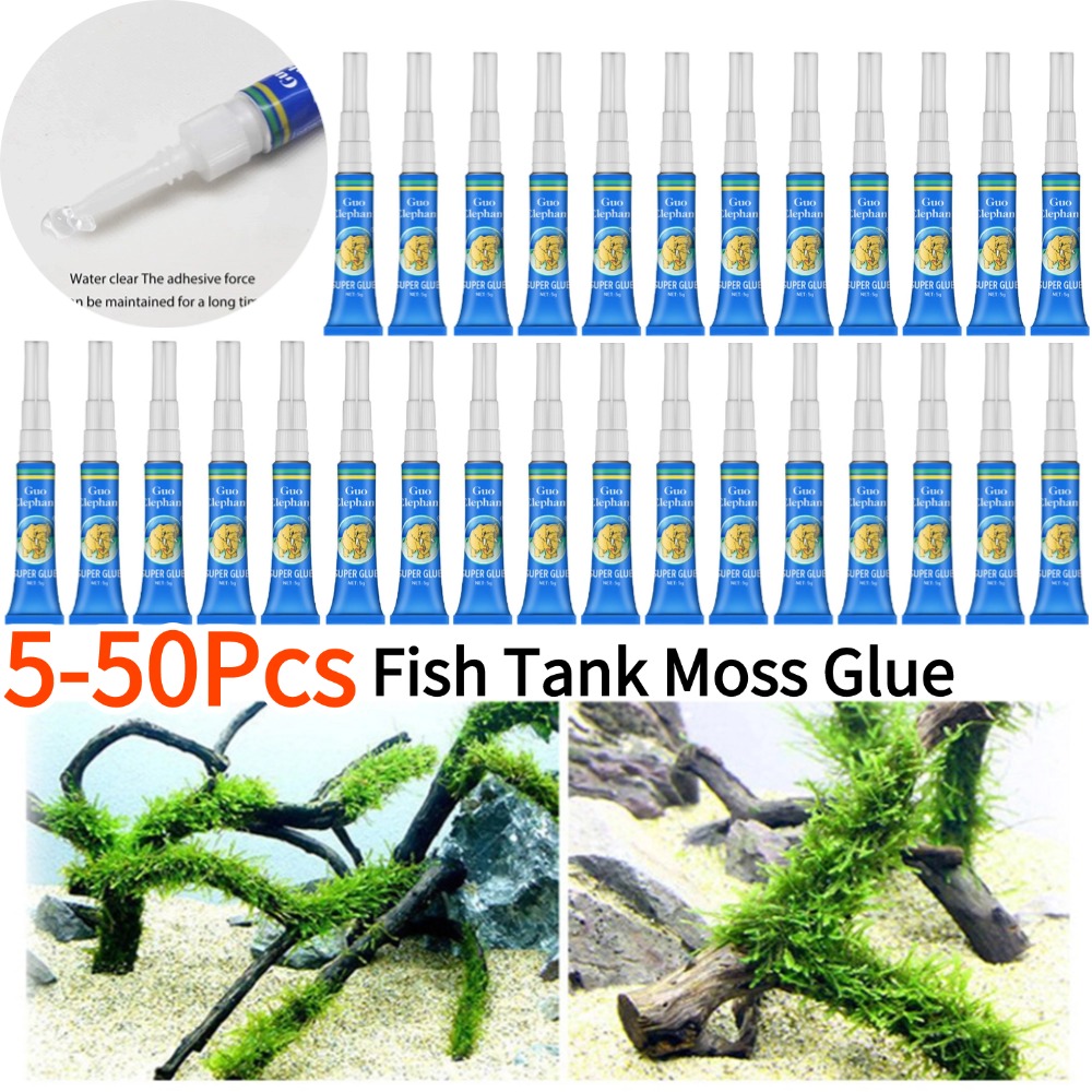 50-5Pcs Fish Tank Landscaping  - Aquarium Plant Glue Gel avis et prix