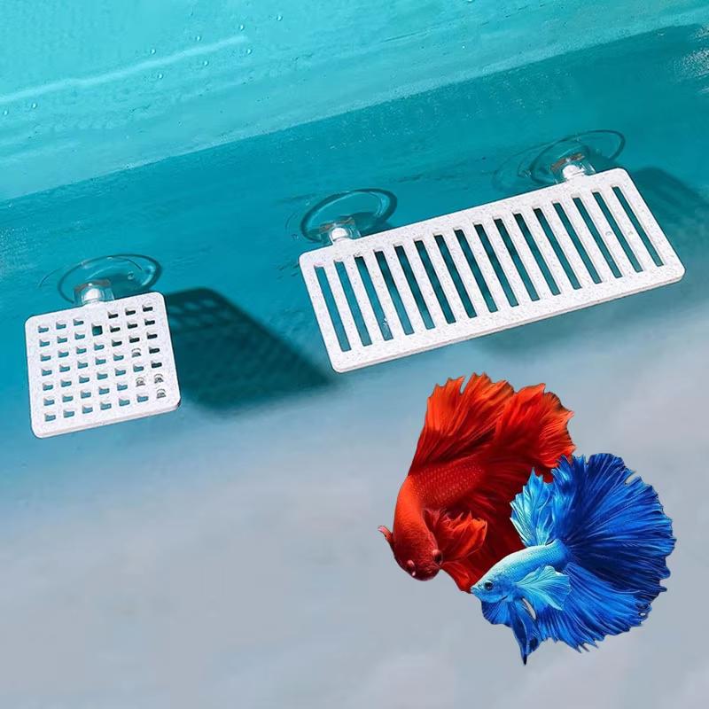 Plastic Fish Tank Aquarium Art - Planted Aquarium Betta avis et prix