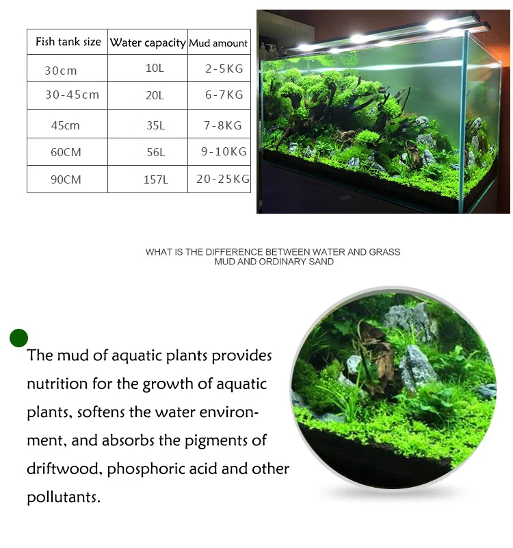 Fish Tank Water Grass Mud Plan - Aquarium Plant Seeds avis et prix