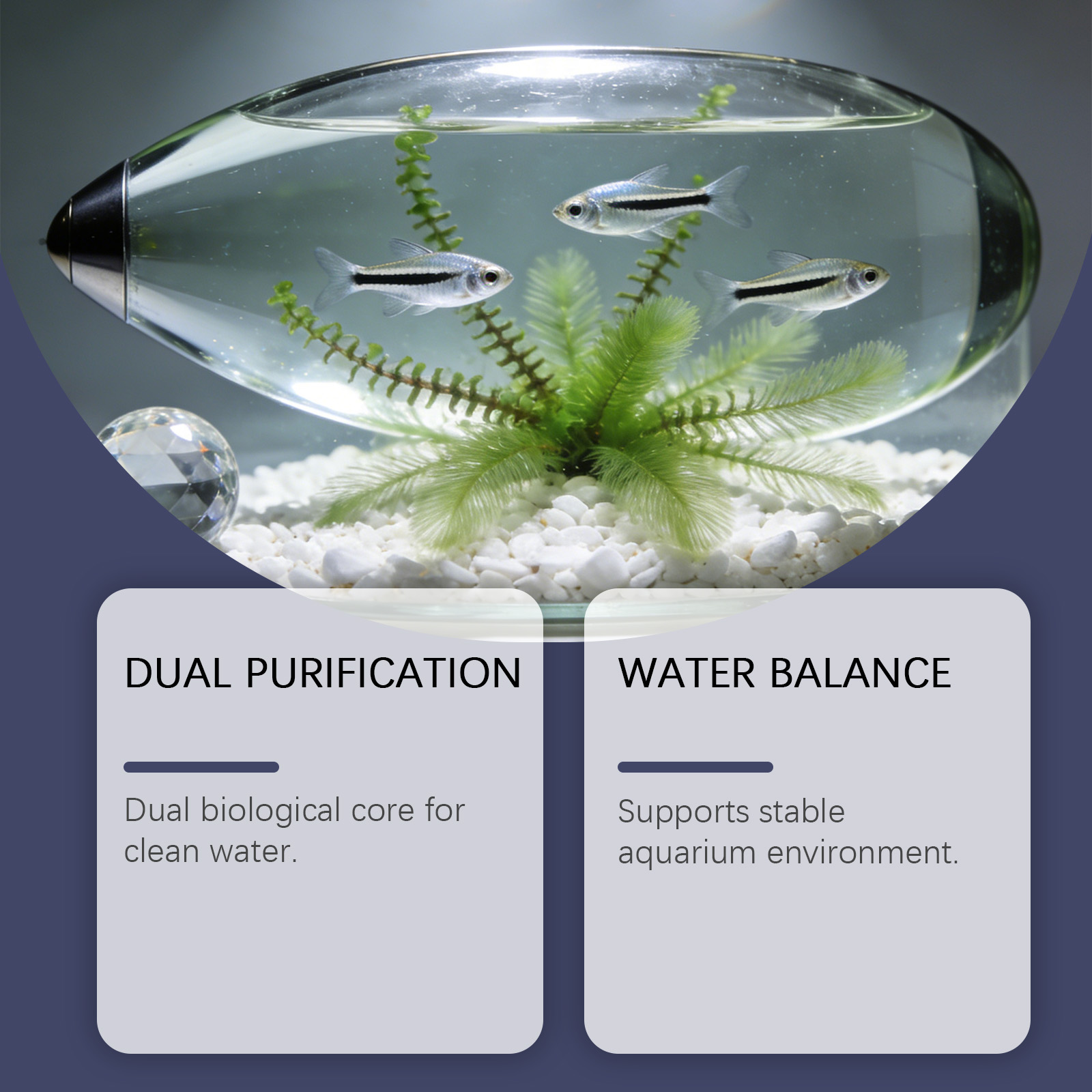 Algae Remover Tablets for Aqua - Planted Aquarium Cloudy Water avis et prix