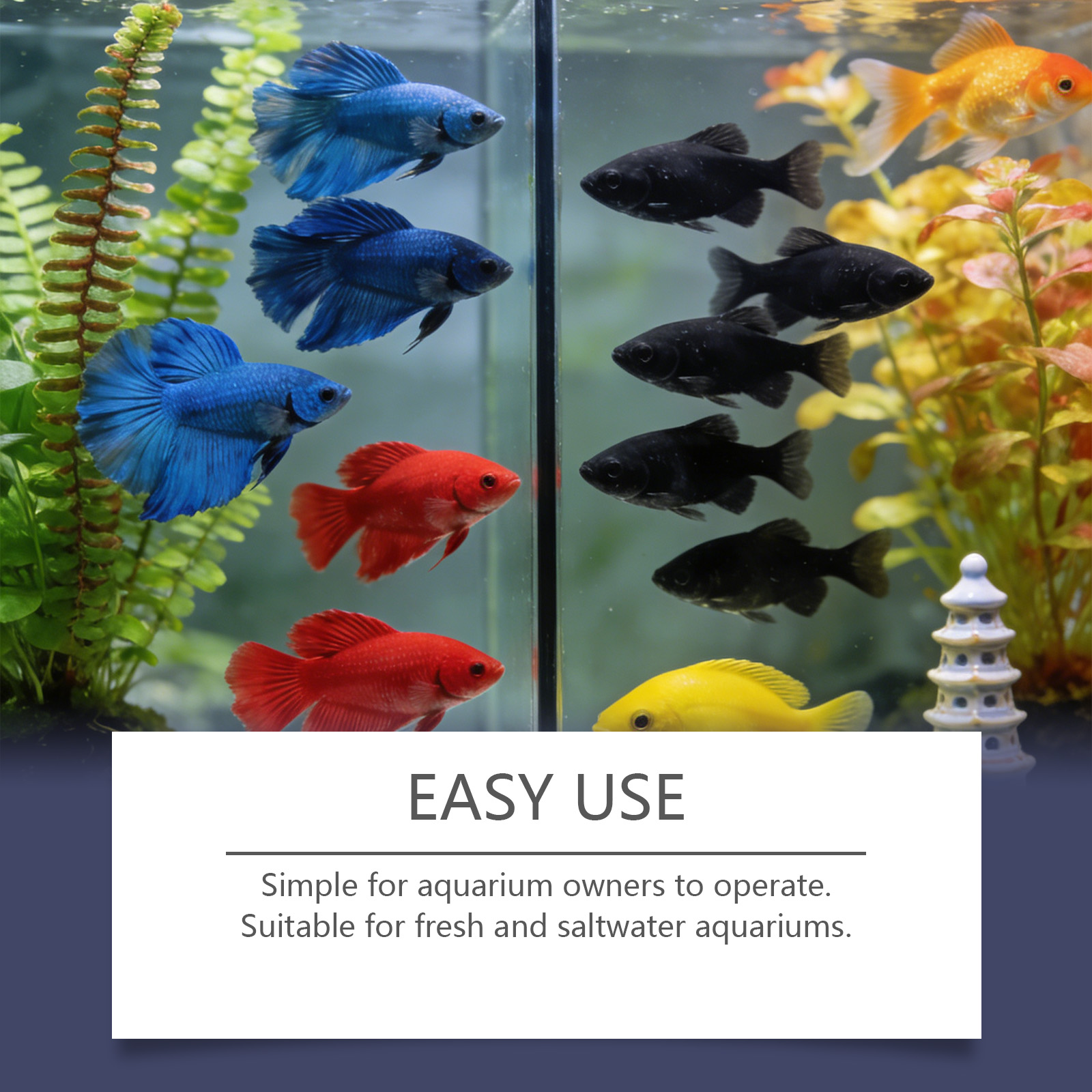 Algae Remover Tablets for Aqua - Planted Aquarium Cloudy Water avis et prix