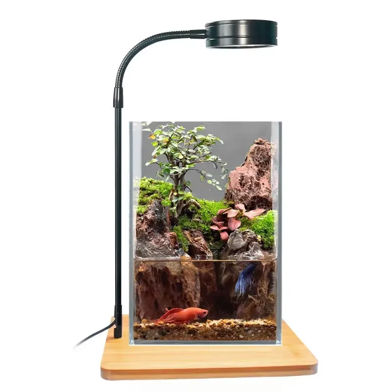 Desktop Decoration Timing Fish - Planted Aquarium Hours avis et prix