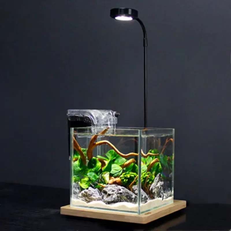 Desktop Decoration Timing Fish - Planted Aquarium Hours avis et prix