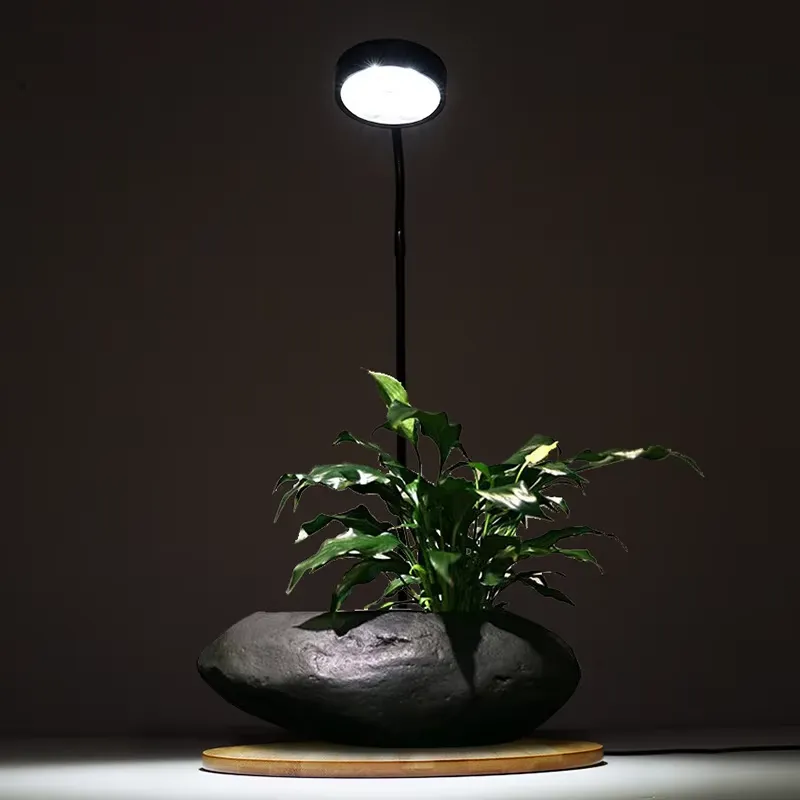 Desktop Decoration Timing Fish - Planted Aquarium Hours avis et prix