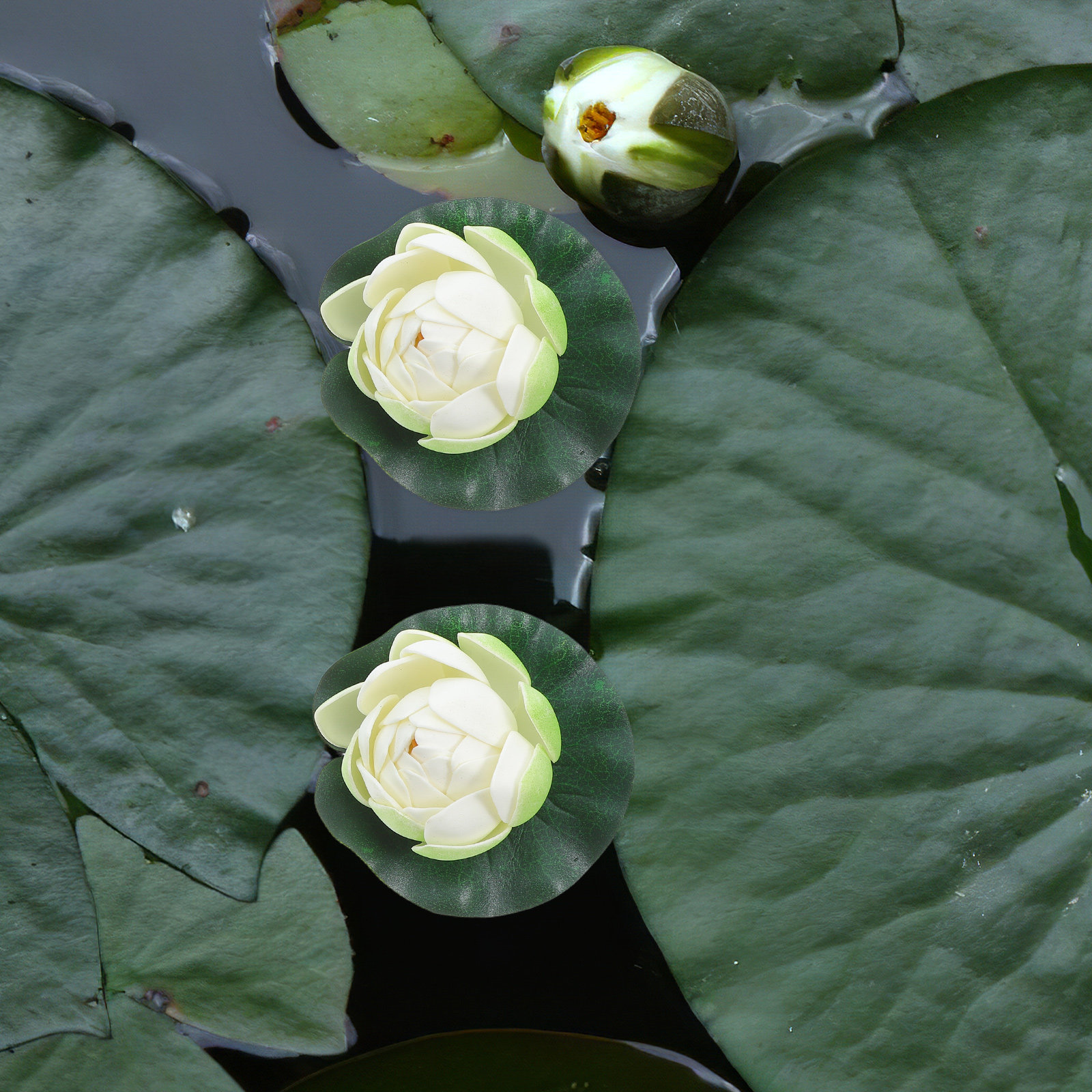 5Pcs Artificial Floating Water - Aquarium Planting avis et prix