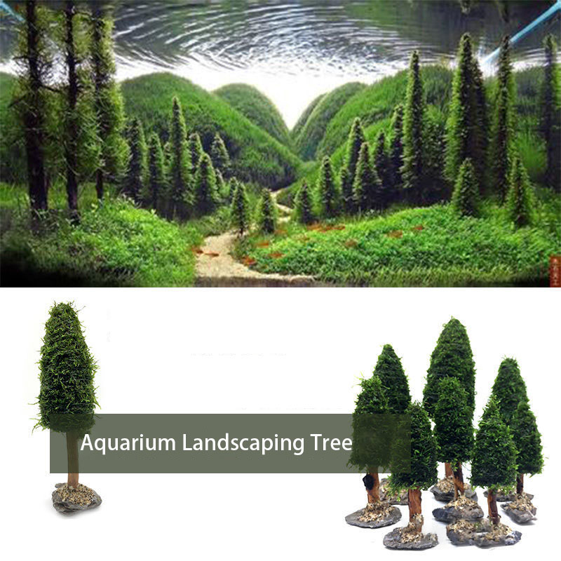 Aquarium Decoration Aquatic Pl - Aquarium Plant Seeds avis et prix