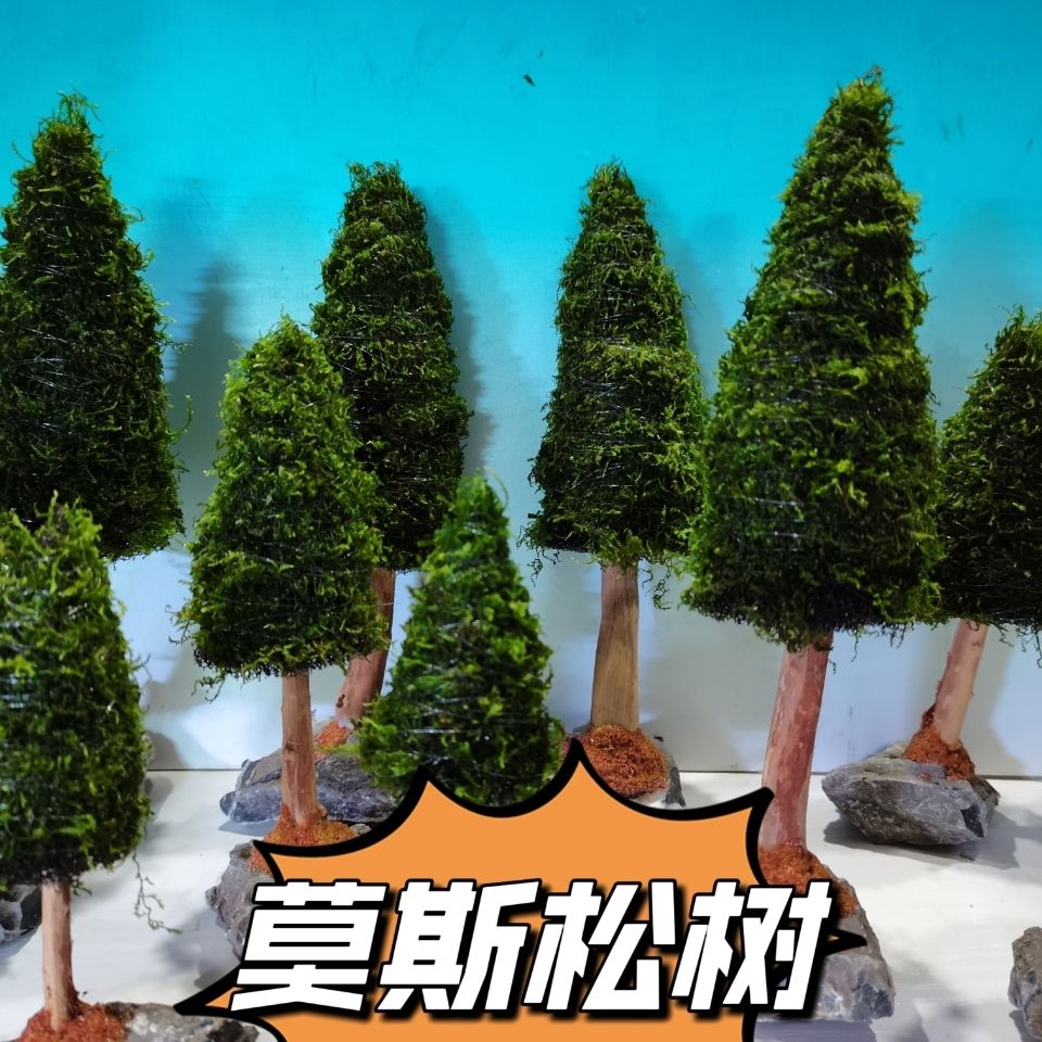 Aquarium Decoration Aquatic Pl - Aquarium Plant Seeds avis et prix