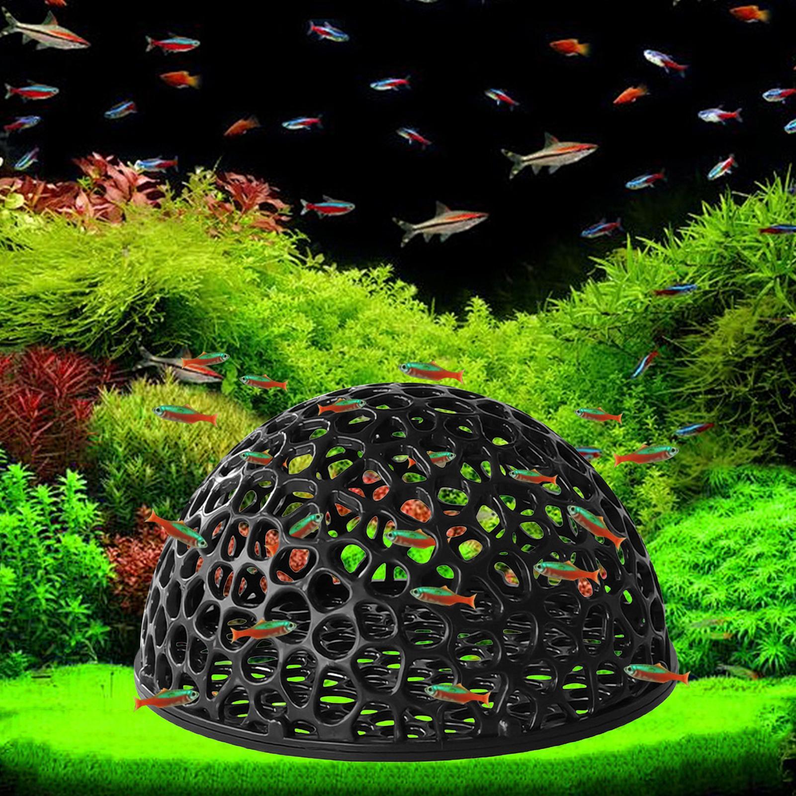 Aquarium shrimp house Cave Min - Aquarium Plant Live avis et prix