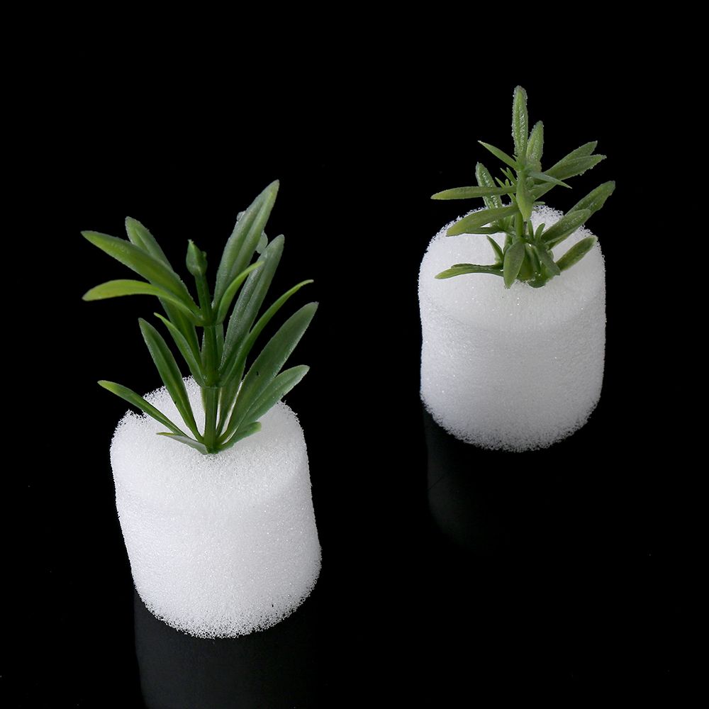 10/50pcs Durable Planting Aqua - Aquarium Plant Seeds avis et prix