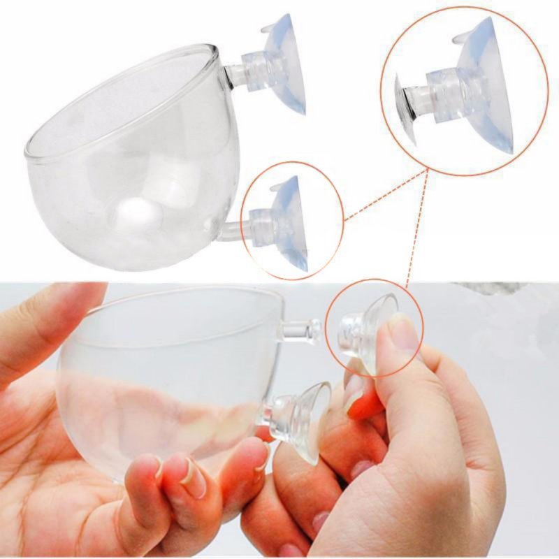 Aquarium Hanging Plant Pot Gla - Aquarium Plant Seeds avis et prix