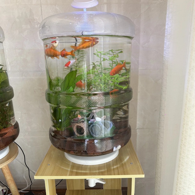 Instant Setup Home Fish Tank 3 - Aquarium Planted Tank Setup avis et prix