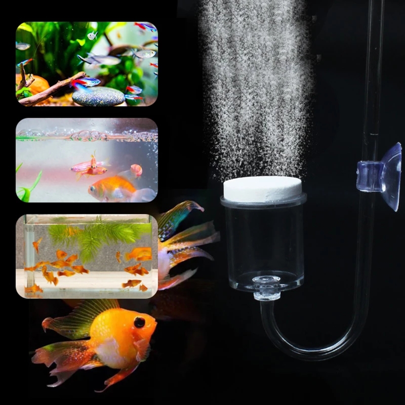 4pcs Set DIY CO2 Diffuser For  - Aquarium Plant Live avis et prix