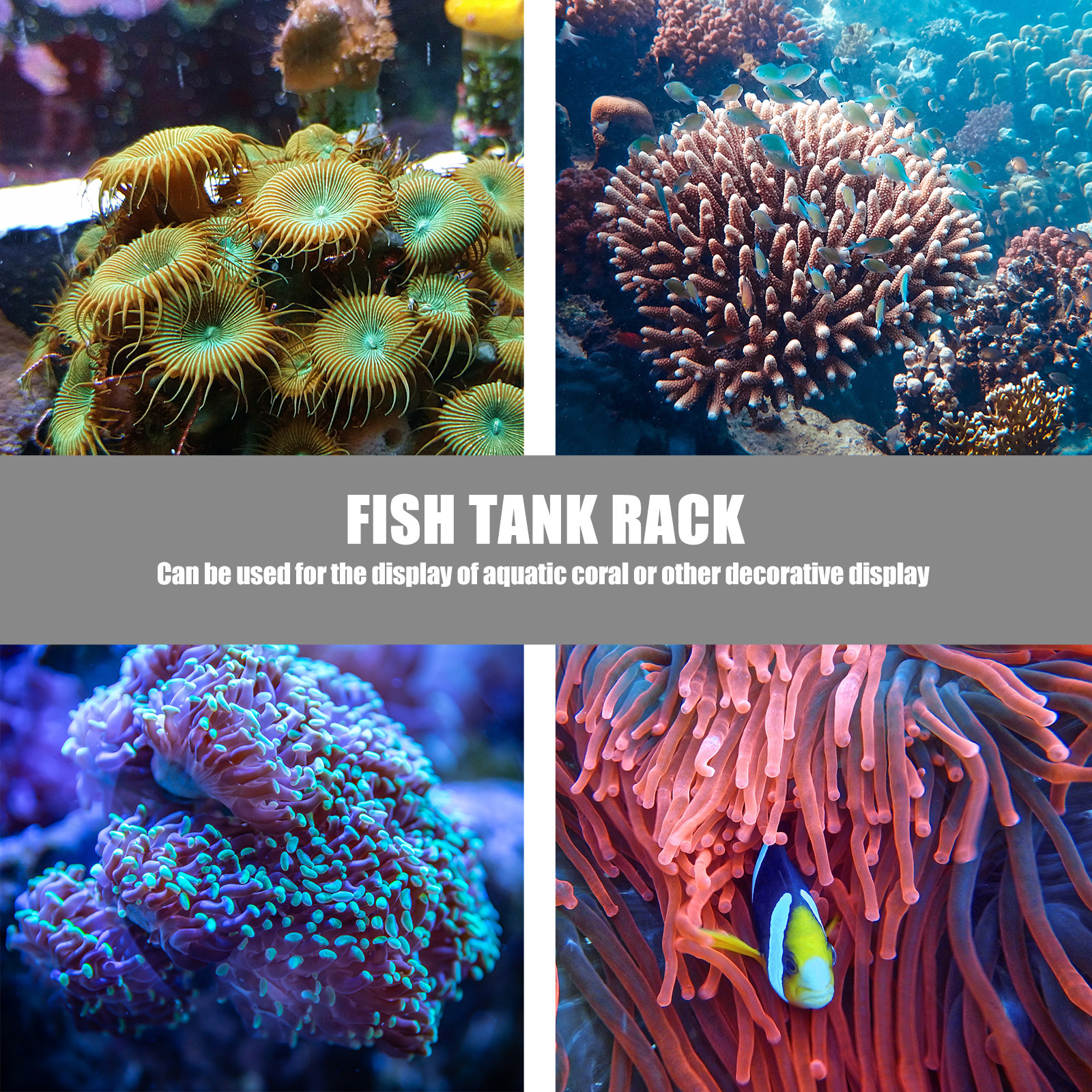 1Pcs Coral Base Stylish Strong - Aquarium Planted Tank Setup avis et prix