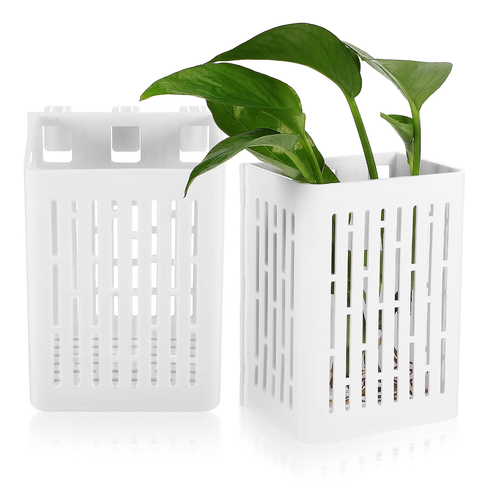 2Pcs Hanging Aquarium Planter  - Aquarium Planted Tank Setup avis et prix