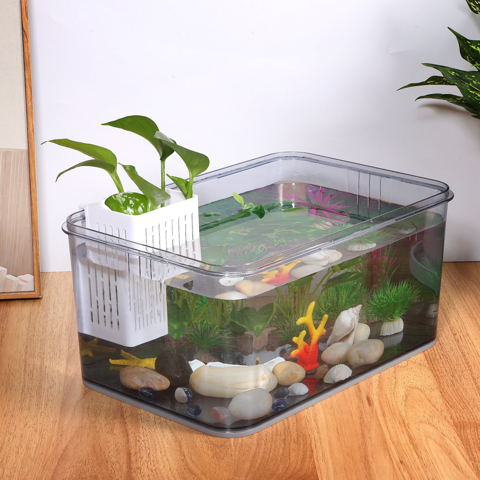 2Pcs Hanging Aquarium Planter  - Aquarium Planted Tank Setup avis et prix