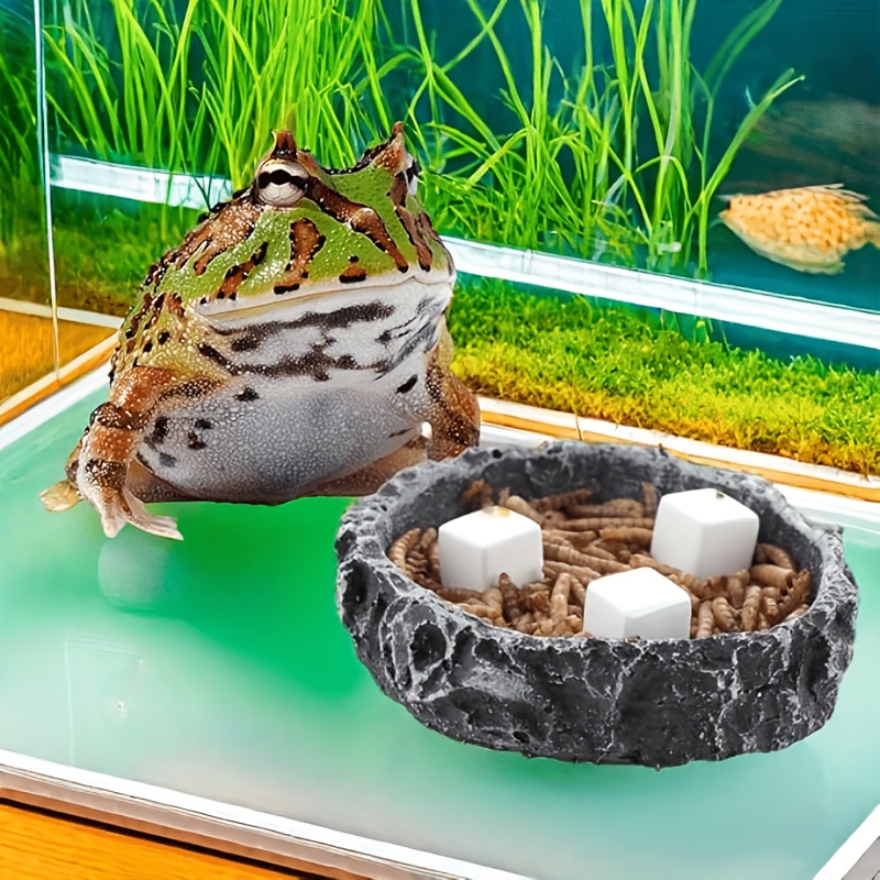 6 Pcs Fish Tank Calcium Block  - Aquarium Plant Live avis et prix