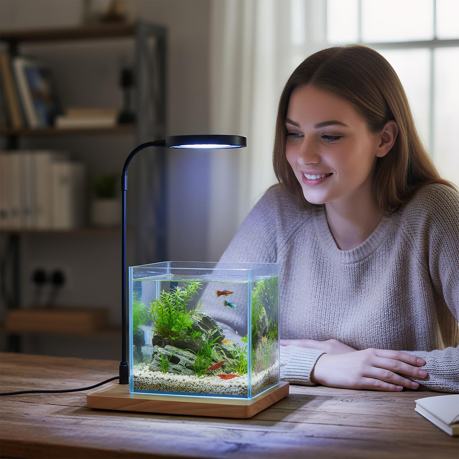 Plant Lights For Indoor Growin - Aquarium Plant On Wood avis et prix
