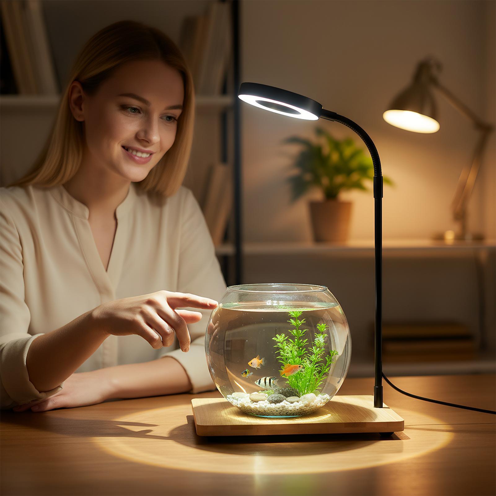 Plant Lights For Indoor Growin - Aquarium Plant On Wood avis et prix