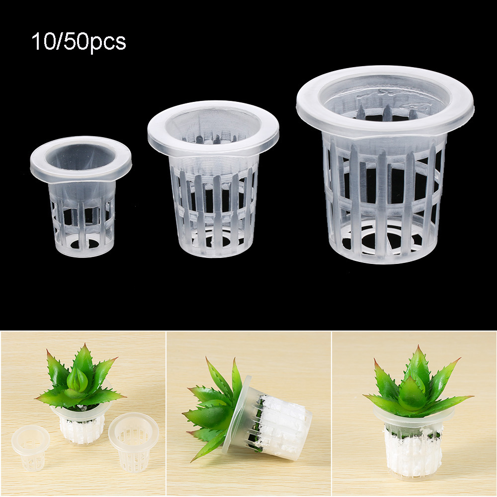 10/50pcs Garden Supplies Plant - Aquarium Plant Seeds avis et prix