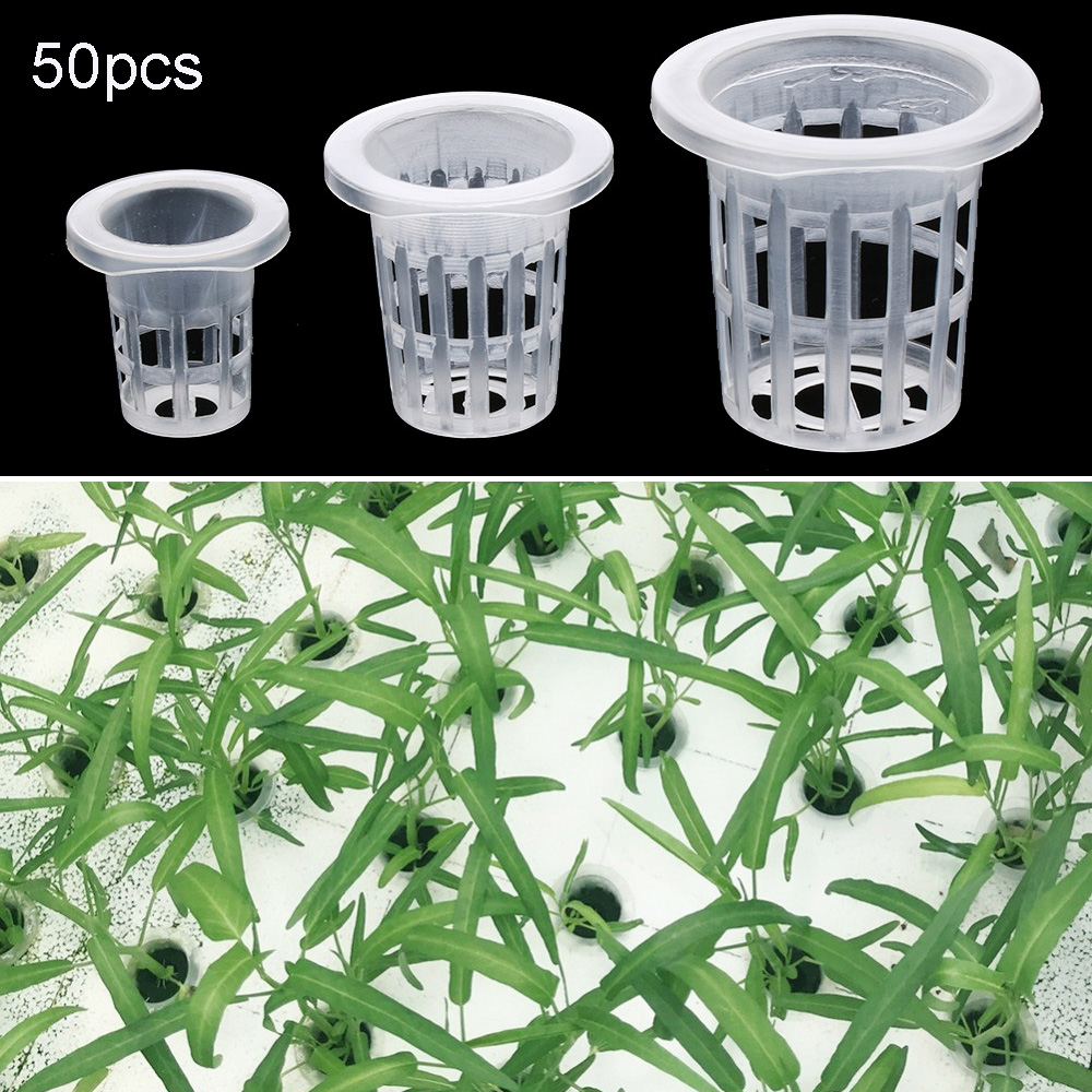 10/50pcs Garden Supplies Plant - Aquarium Plant Seeds avis et prix